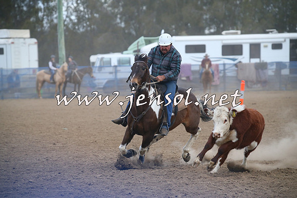 CountyCumberlandCampdraftSat_1283