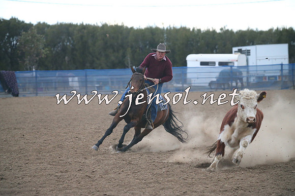 CountyCumberlandCampdraftSat_1380