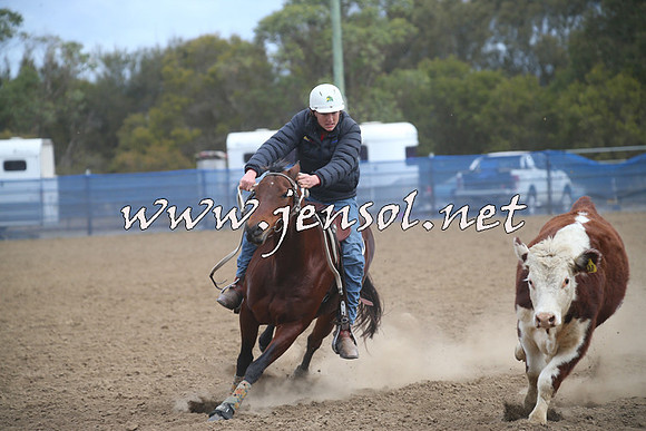 CountyCumberlandCampdraftSat_1024