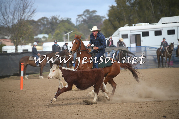 CountyCumberlandCampdraftSat_1149