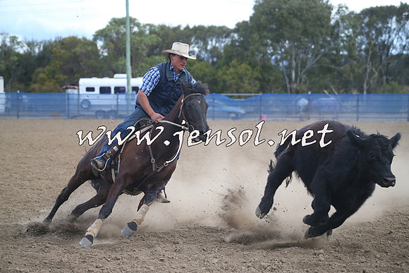CountyCumberlandCampdraftSat_1208