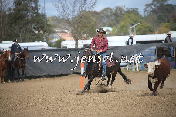 CountyCumberlandCampdraftSat_1132