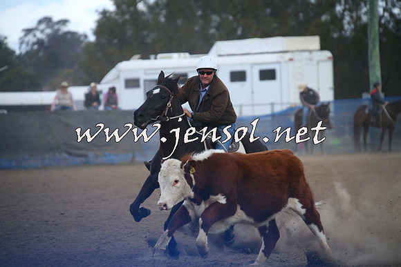 CountyCumberlandCampdraftSat_1242