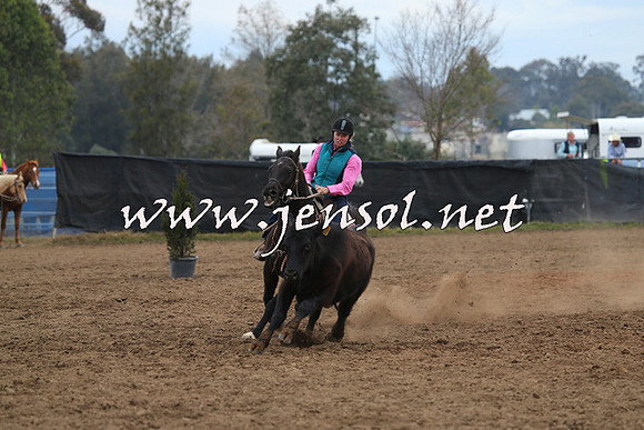 CountyofCumberland2015_4086