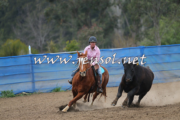 CountyofCumberland2015_4177