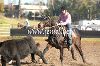 MossValeCampdraft2013_0215