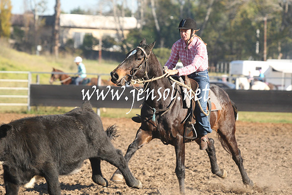 MossValeCampdraft2013_0215