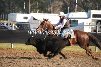 MossValeCampdraft2013_0205