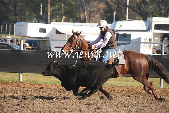 MossValeCampdraft2013_0205