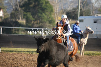 MossValeCampdraft2013_0226