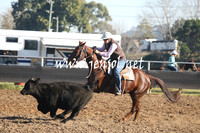 MossValeCampdraft2013_0197