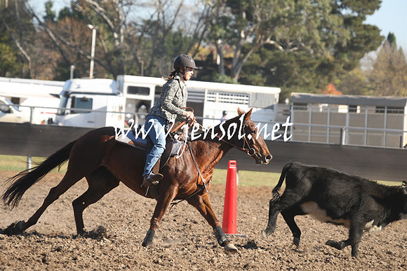 MossValeCampdraft2013_0281