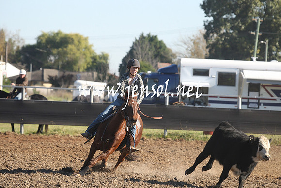 MossValeCampdraft2013_0278