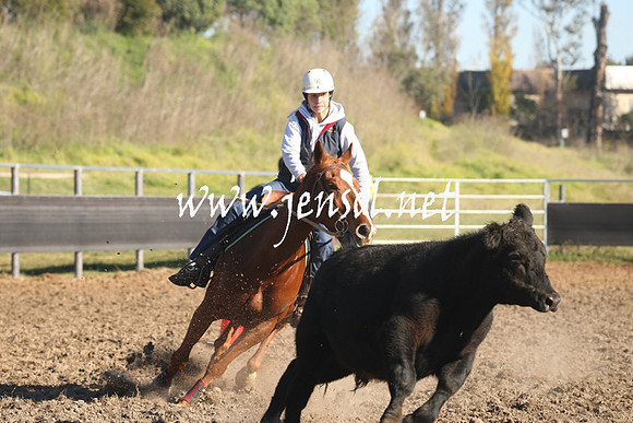 MossValeCampdraft2013_0228