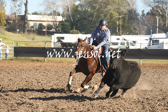 MossValeCampdraft2013_0235
