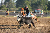 MossValeCampdraft2013_0193