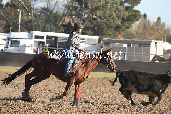 MossValeCampdraft2013_0282