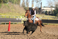 MossValeCampdraft2013_0200