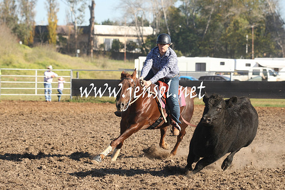 MossValeCampdraft2013_0237