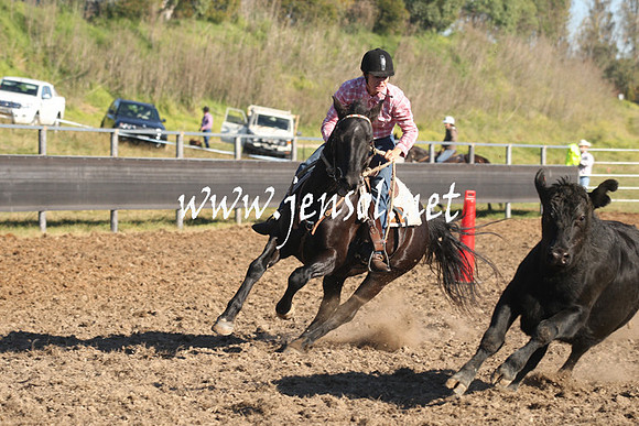 MossValeCampdraft2013_0245