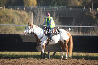 MossValeCampdraft2013_0221