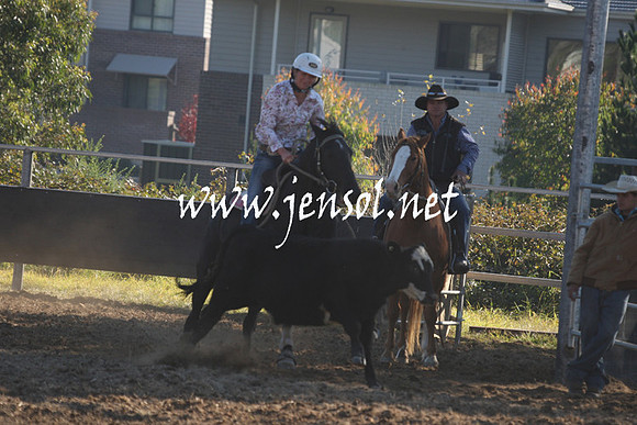 MossValeCampdraft2013_0256