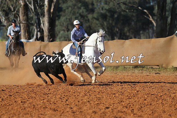 IllaboCampdraft2014_1453