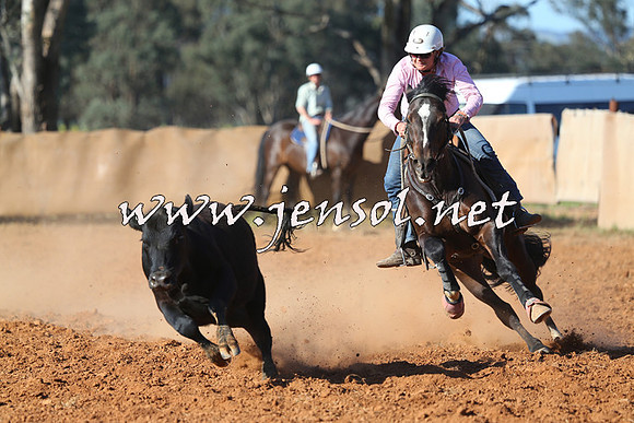 IllaboCampdraft2014_1378