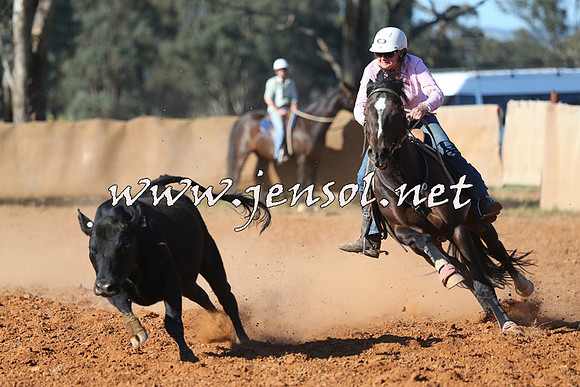 IllaboCampdraft2014_1379