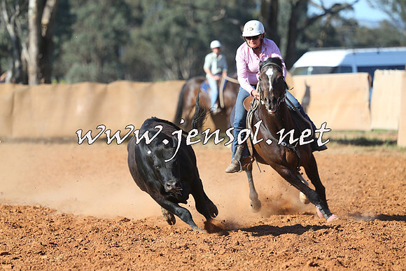 IllaboCampdraft2014_1376