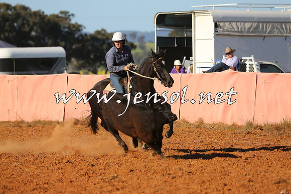 IllaboCampdraft2014_1414