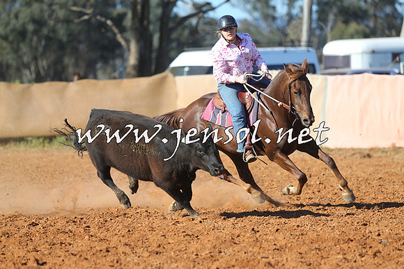IllaboCampdraft2014_1382