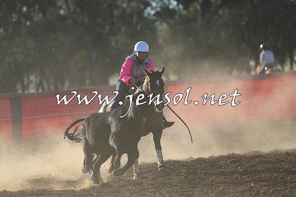 IllaboCampdraft2014_1479
