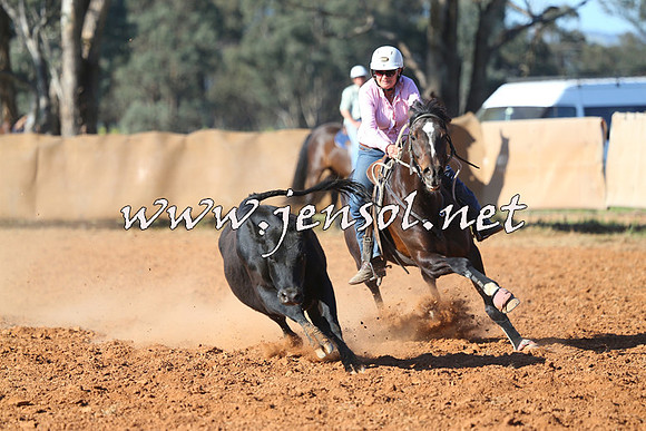 IllaboCampdraft2014_1375