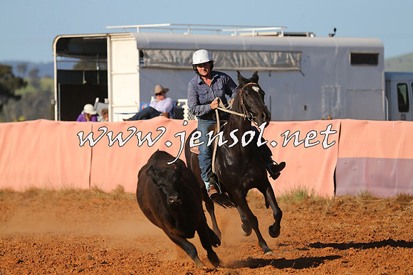 IllaboCampdraft2014_1415