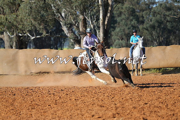 IllaboCampdraft2014_1402