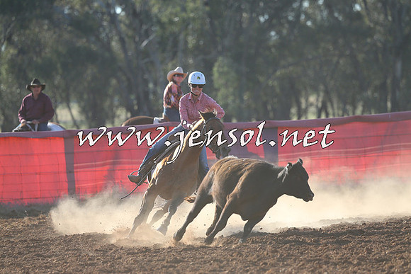 IllaboCampdraft2014_1446