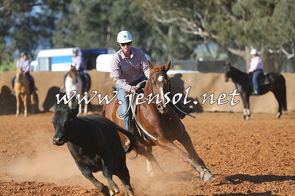 IllaboCampdraft2014_1440