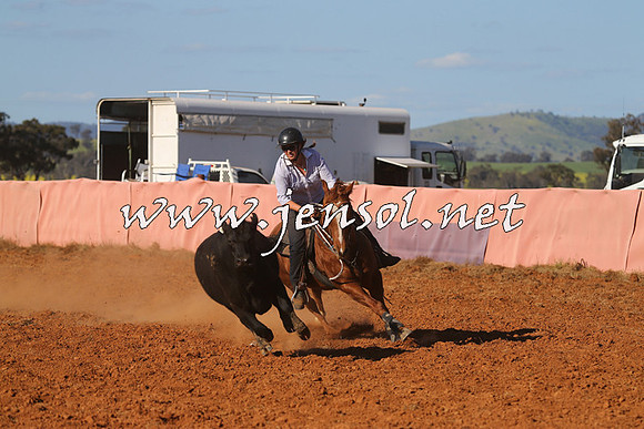 IllaboCampdraft2014_1347