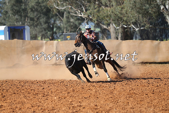 IllaboCampdraft2014_1366