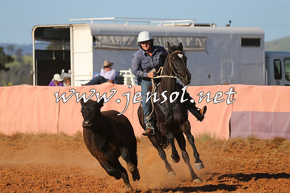 IllaboCampdraft2014_1417