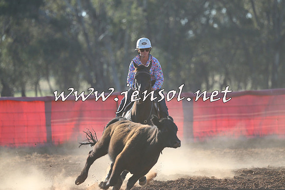 IllaboCampdraft2014_1454