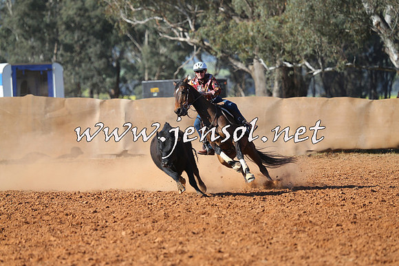 IllaboCampdraft2014_1365