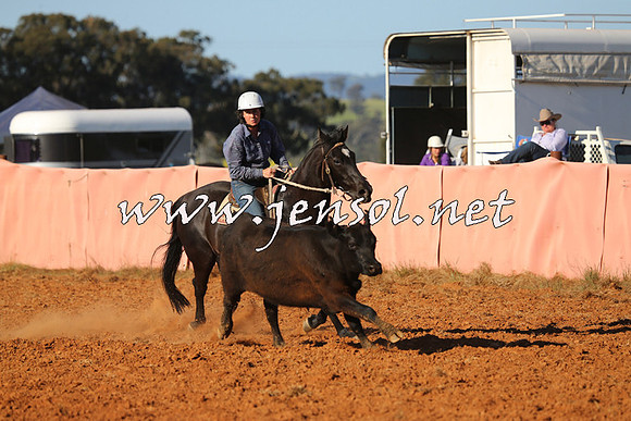 IllaboCampdraft2014_1413