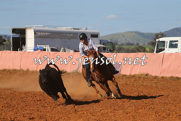 IllaboCampdraft2014_1349