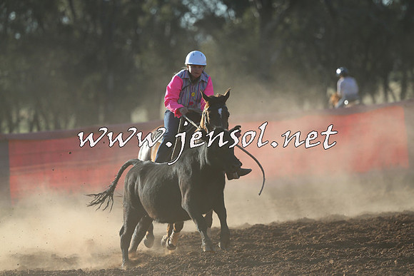 IllaboCampdraft2014_1480