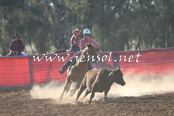 IllaboCampdraft2014_1445