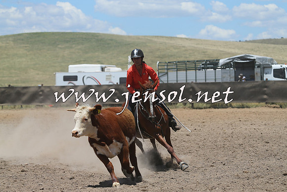 AdaminabyCampdraft2014_0268