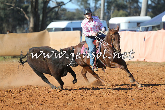 IllaboCampdraft2014_1383
