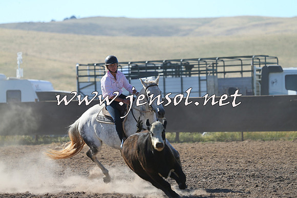 AdaminabyCampdraft2014_0737